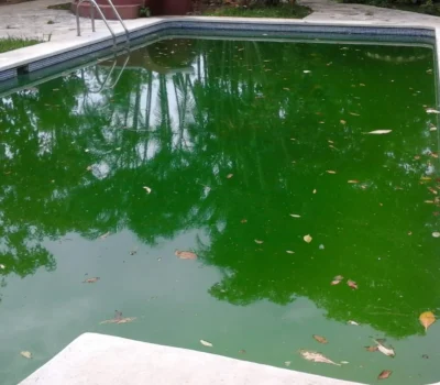 Recuperación del agua verde en piscinas El agua verde de una piscina es consecuencia del desarrollo de microalgas. Para solucionarlo, hay que limpiar, filtrar el agua y utilizar productos específicos. El tratamiento del agua con alguicidas, floculantes o clarificantes, junto al análisis del ph, son necesarios para tratar el agua antes del primer chapuzón.